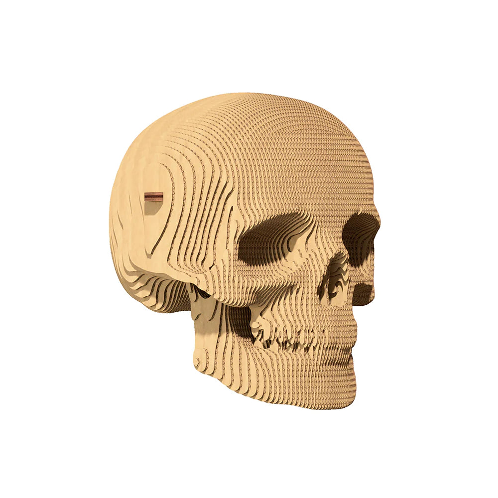 Skull - Puzzle Carton 3D à assembler - Cartonic