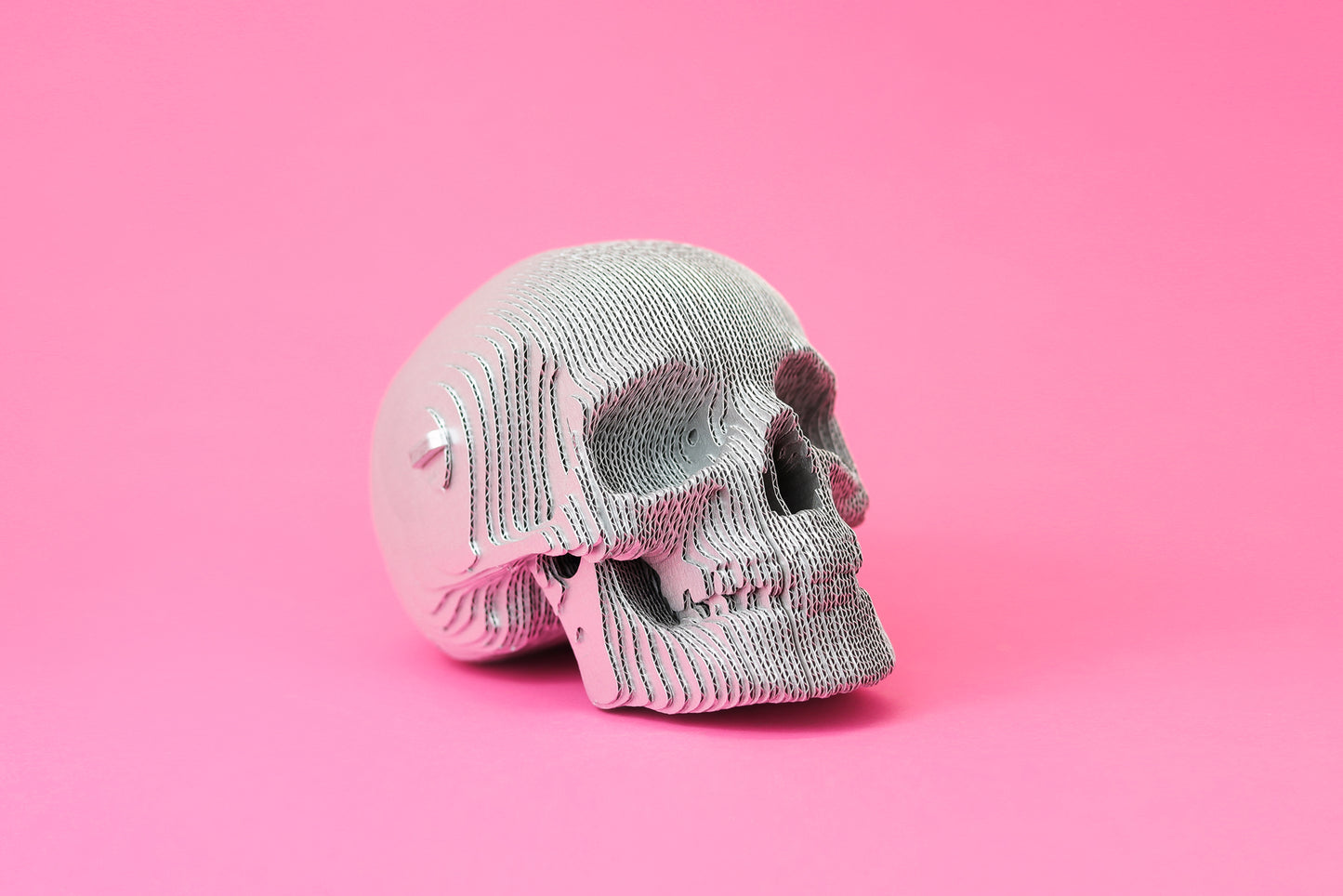 Skull - Puzzle Carton 3D