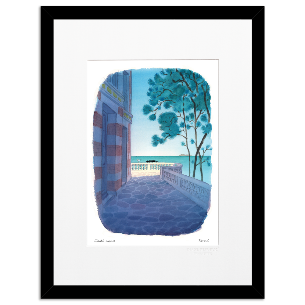 L'invité Suprise - Collection François Ravard - Image Republic