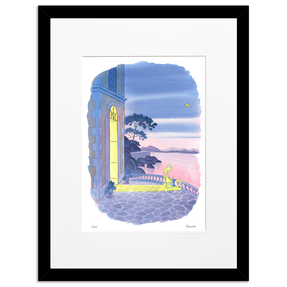 Ovni - Collection François Ravard - Image Republic