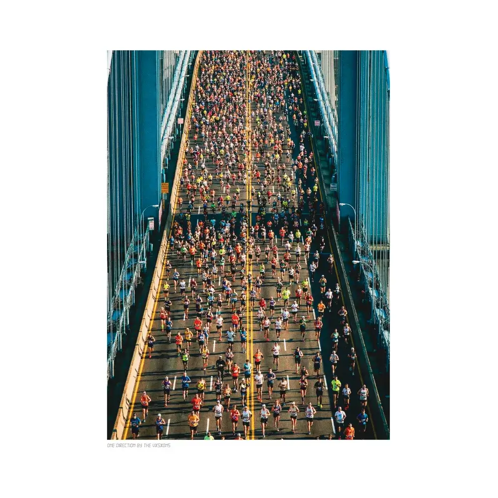 Affiche The Vxsxons 30x40 cm - One direction par Image Republic