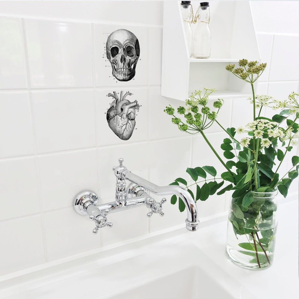 Anatomie - Décoration de Carrelage - Boubouki