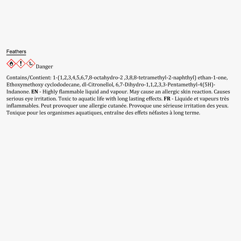 Feathers - Recharge Diffuseur 500ml
