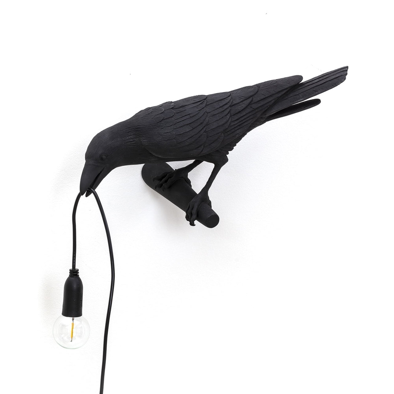 Looking Bird  - Applique Corbeau Noir