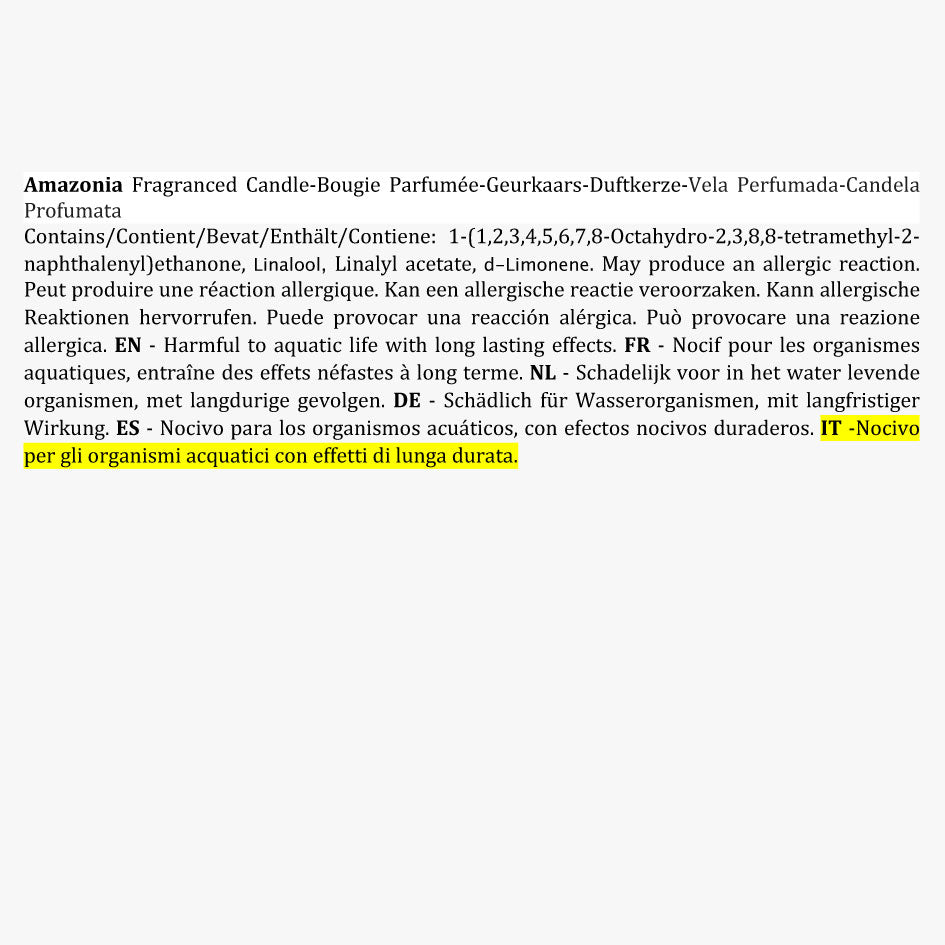 Amazonia - Bougie Parfumée - Collection Rainforest