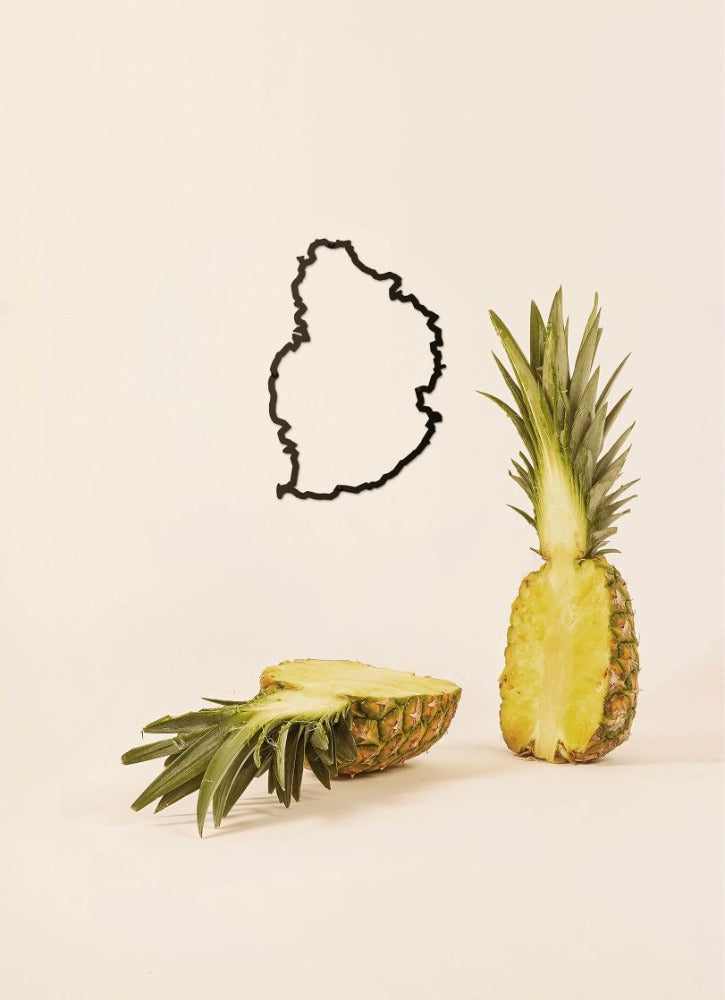 Île Maurice - The Line Island - silhouette en acier inoxydable