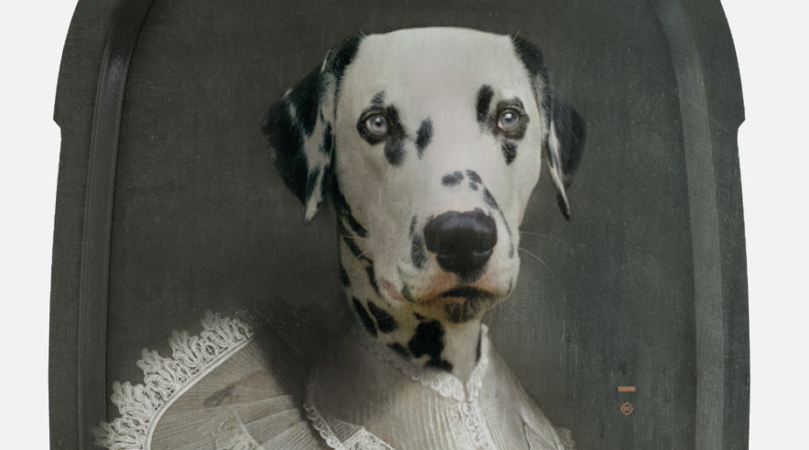 Sapho Ellipse - Plateau & cadre décoratif - portrait d'un Dalmatien en stratifié massif - Collection Les Precieuses par Ibride