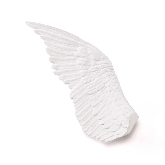Aile gauche Seletti Marcantonio - Wing Right
