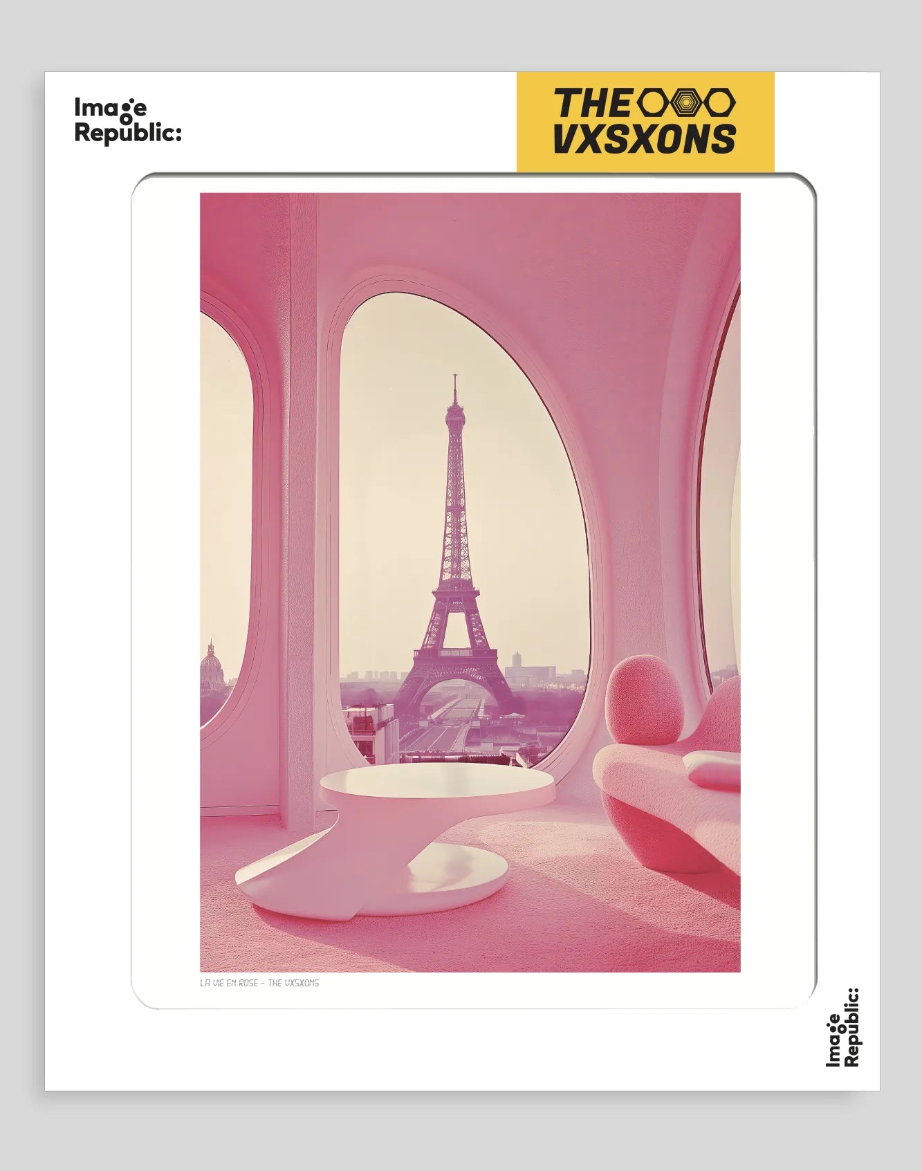 011 - La Vie en Rose - Collection The VXSXONS