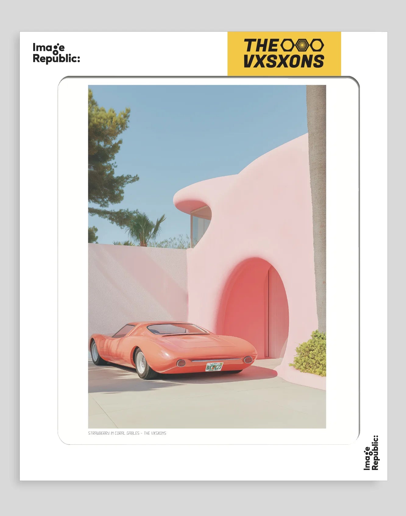 027 - Strawberry in Coral Gables - Collection The VXSXONS