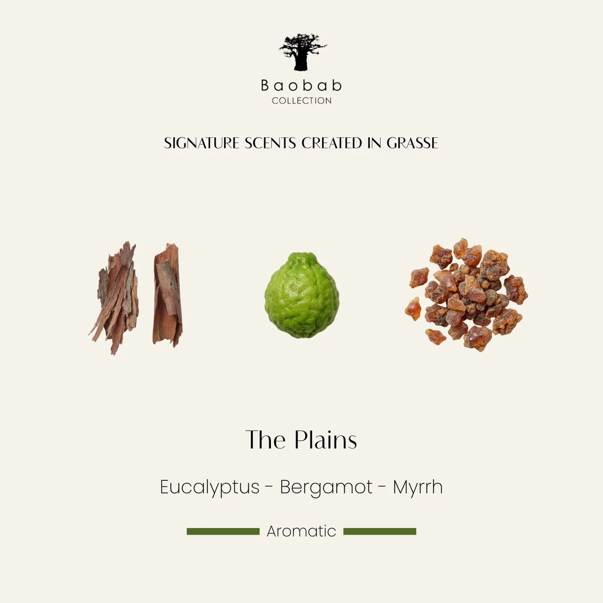 Bougie The Plains Baobab Collection, vase habillé de cuir taupe avec finition à franges