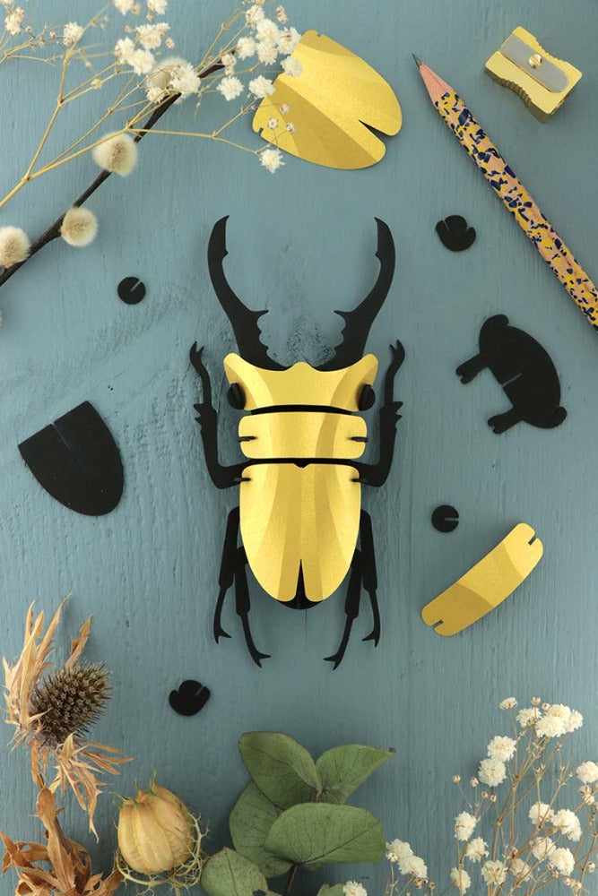 Lucane Assembli dorée - puzzle 3D collection insectes