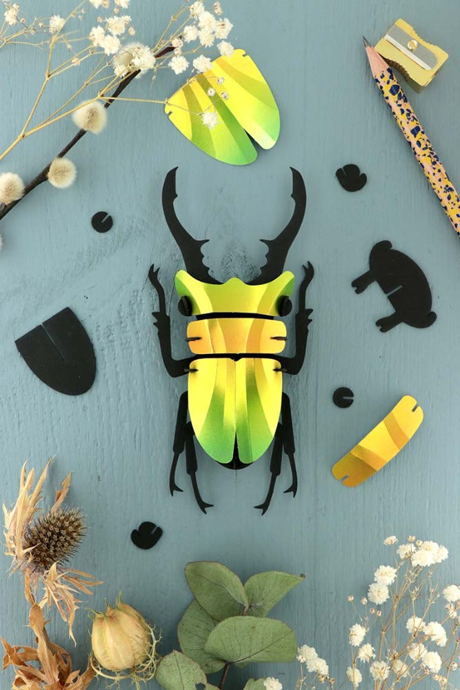 Lucane Assembli Mango Green - puzzle 3D collection insectes
