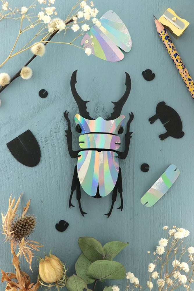 Lucane Assembli Rainbow Mirror - puzzle 3D collection insectes
