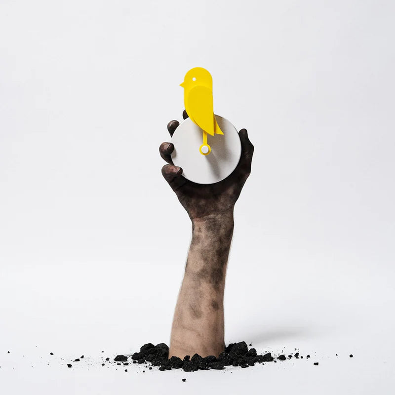 Birdie - Capteur de Qualité d'Air