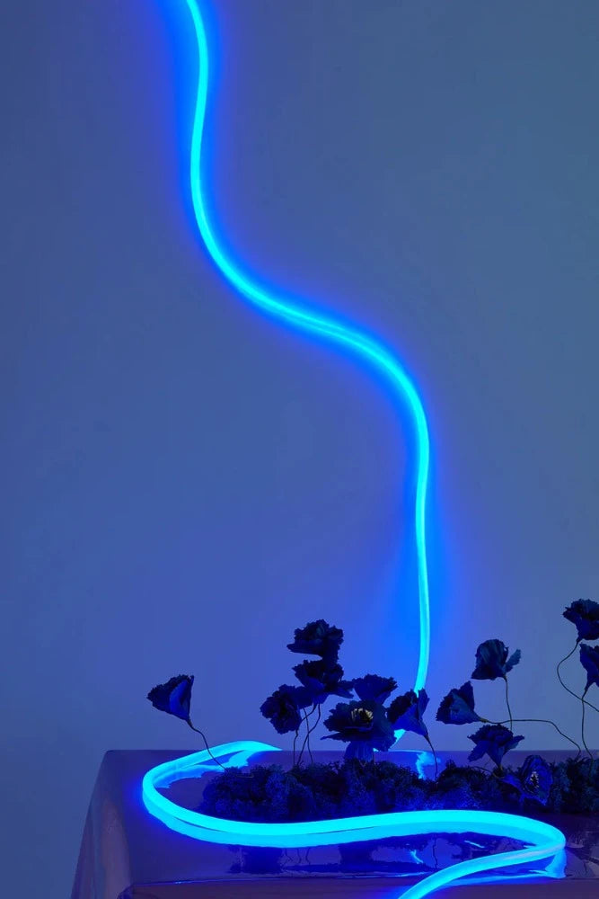Flex Tube Studio About Bleu - Néon 5 m LED bleu