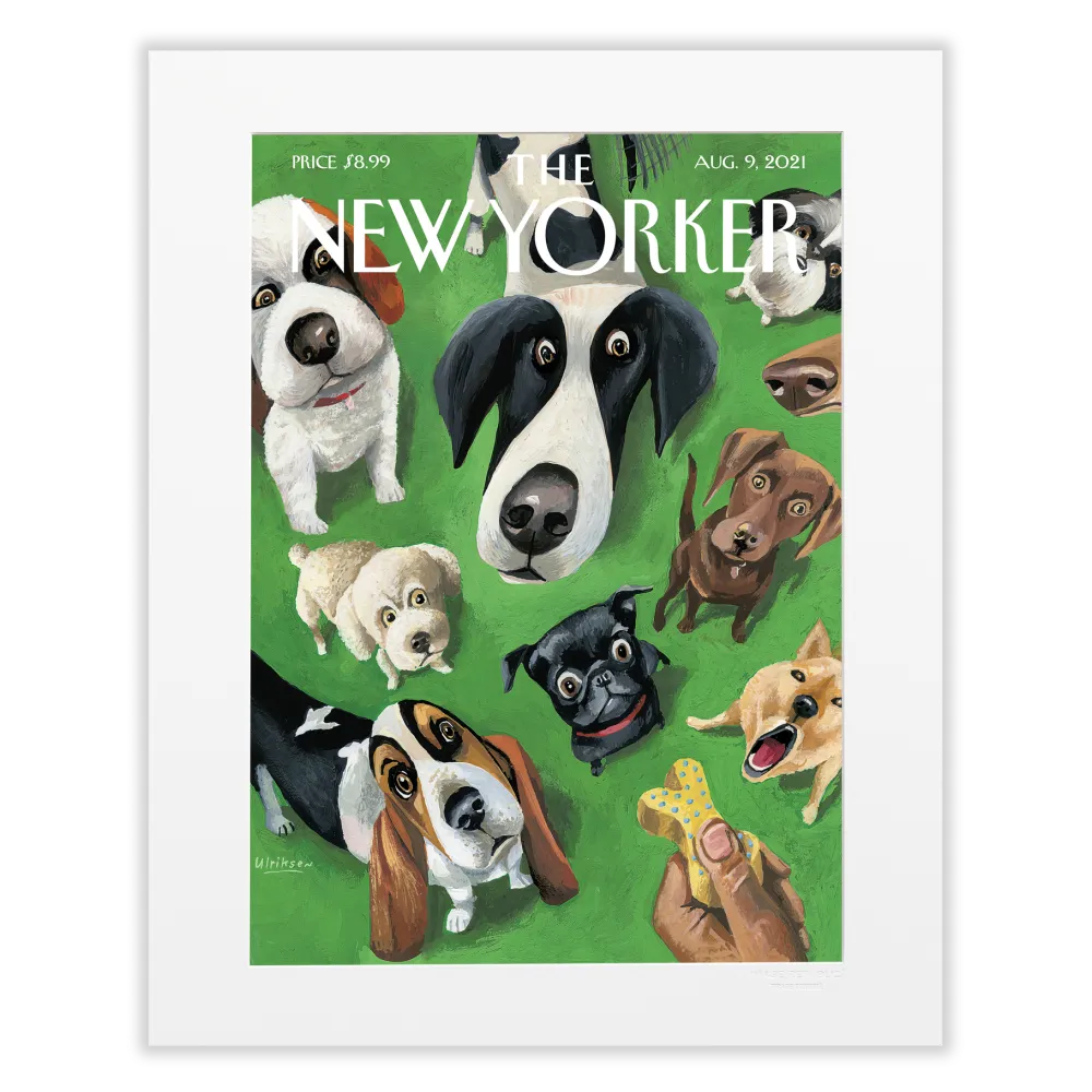 Affiche the New Yorker - Ulriksen - 9 août 2021 Vélin 40x50