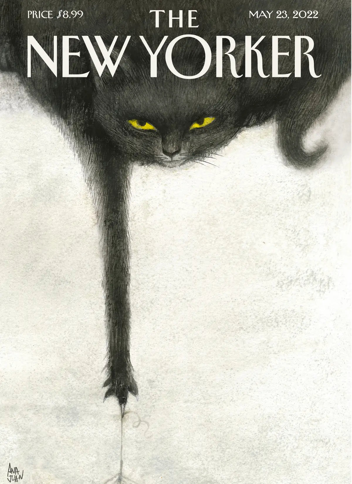 "Making Mischief" chat noir préparant sa prochaine bêtise