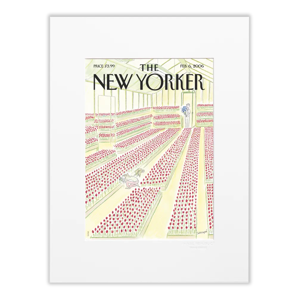 Illustration Sempé Tulipes pour le Naw Yorker - 30x40cm