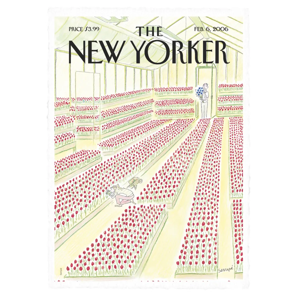 Illustration Sempé Tulipes pour le Naw Yorker - 38x56cm