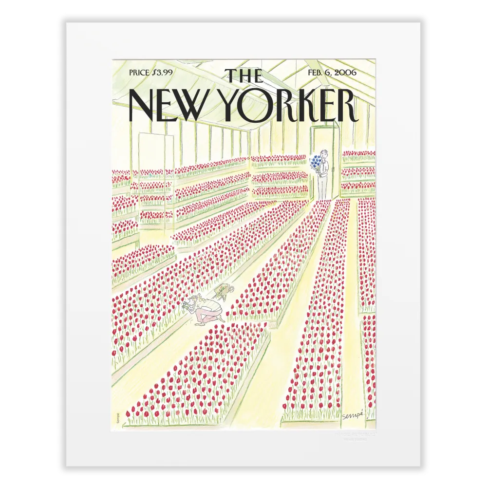 Illustration Sempé Tulipes pour le Naw Yorker - 40x50cm