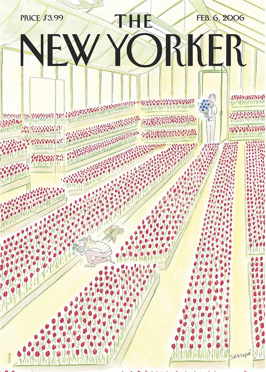 Illustration Sempé Tulipes pour le Naw Yorker 