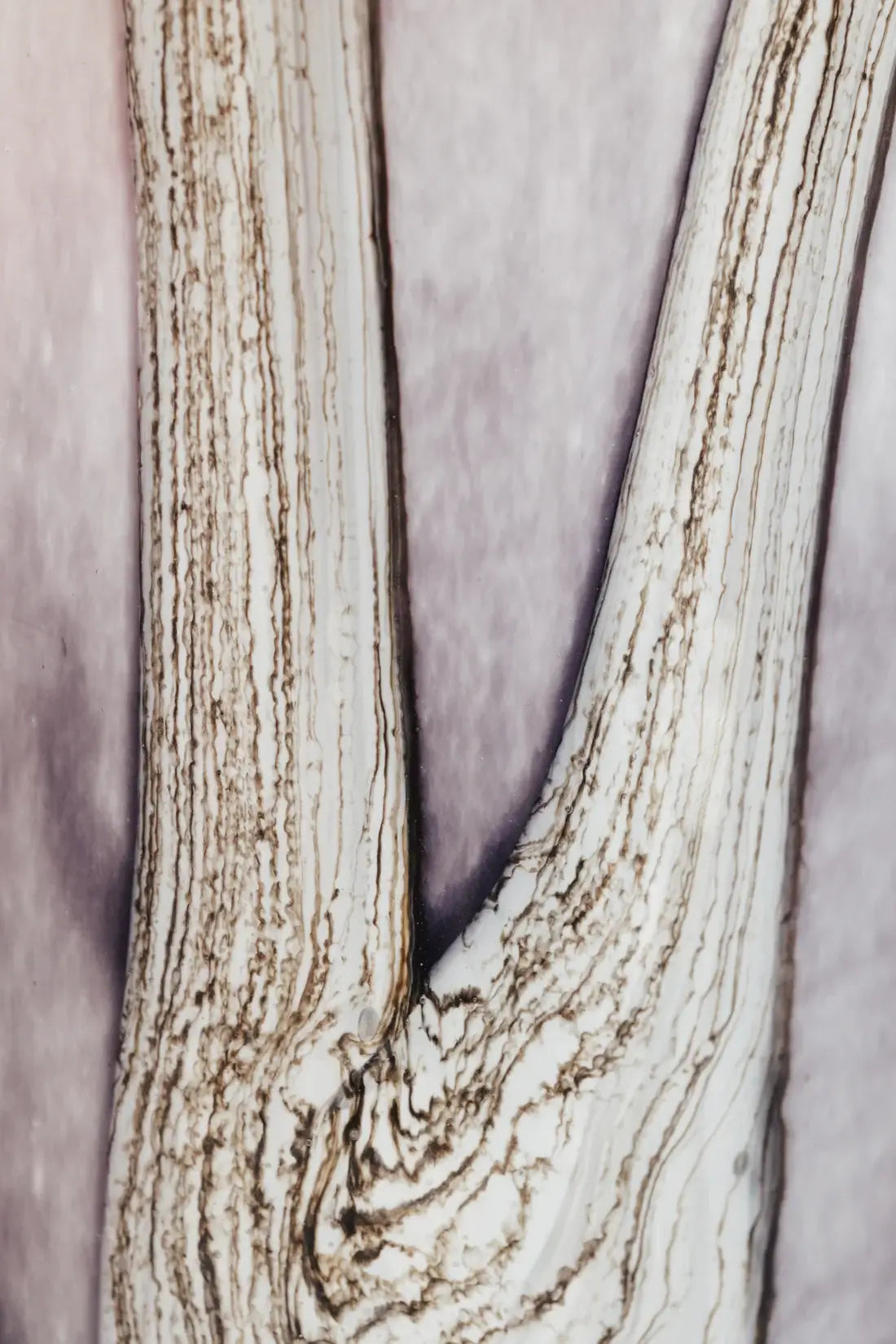 Les motifs blancs et parmes de la bougie Brocéliande rappellent les arbres des la forêt du fief de Merlin, poussant de manière presque magique en direction du ciel