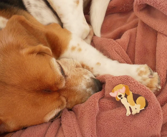 Beagle - Patch Thermocollant - Malicieuse