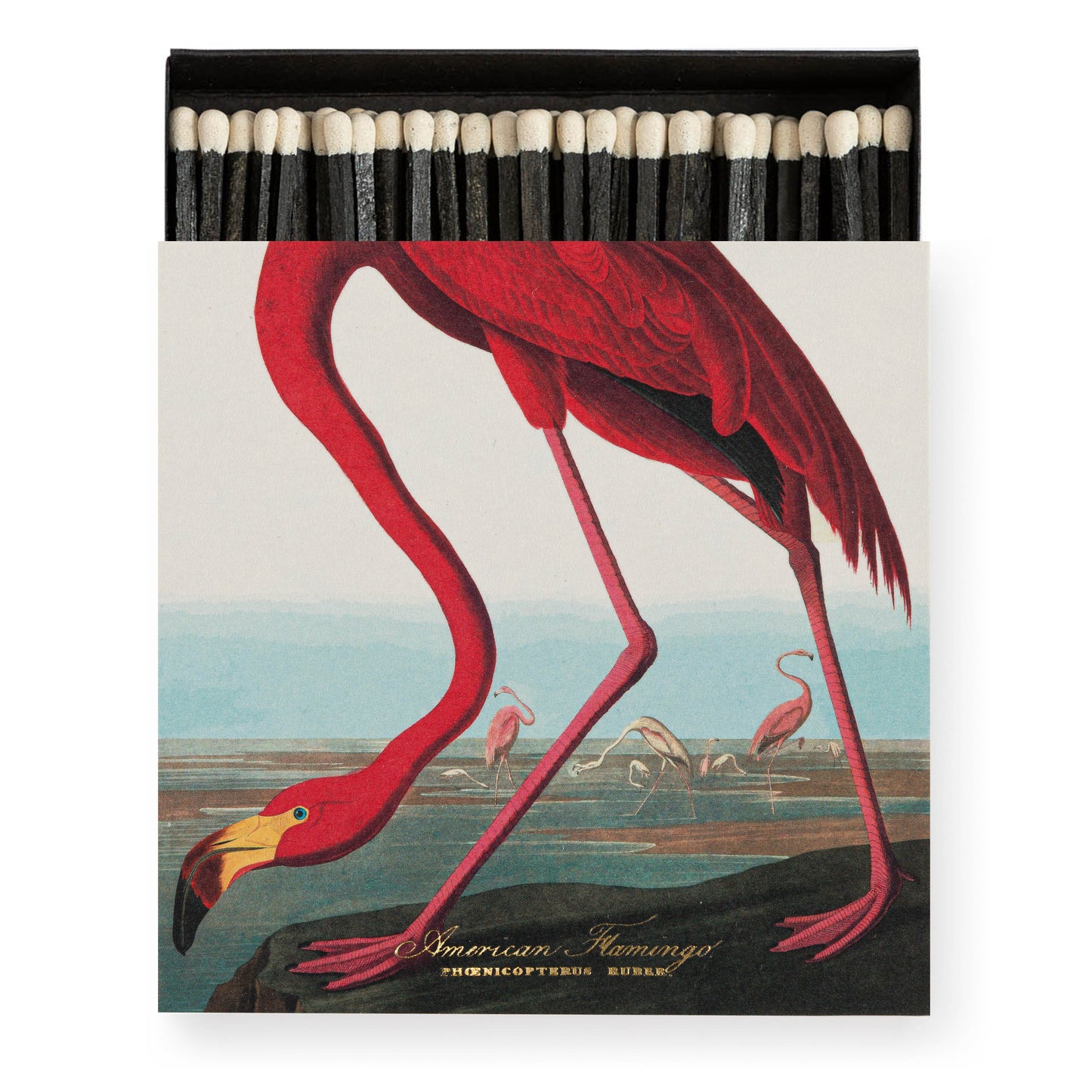 The American Flamingo - Boîte d'allumettes - Archivist Gallery