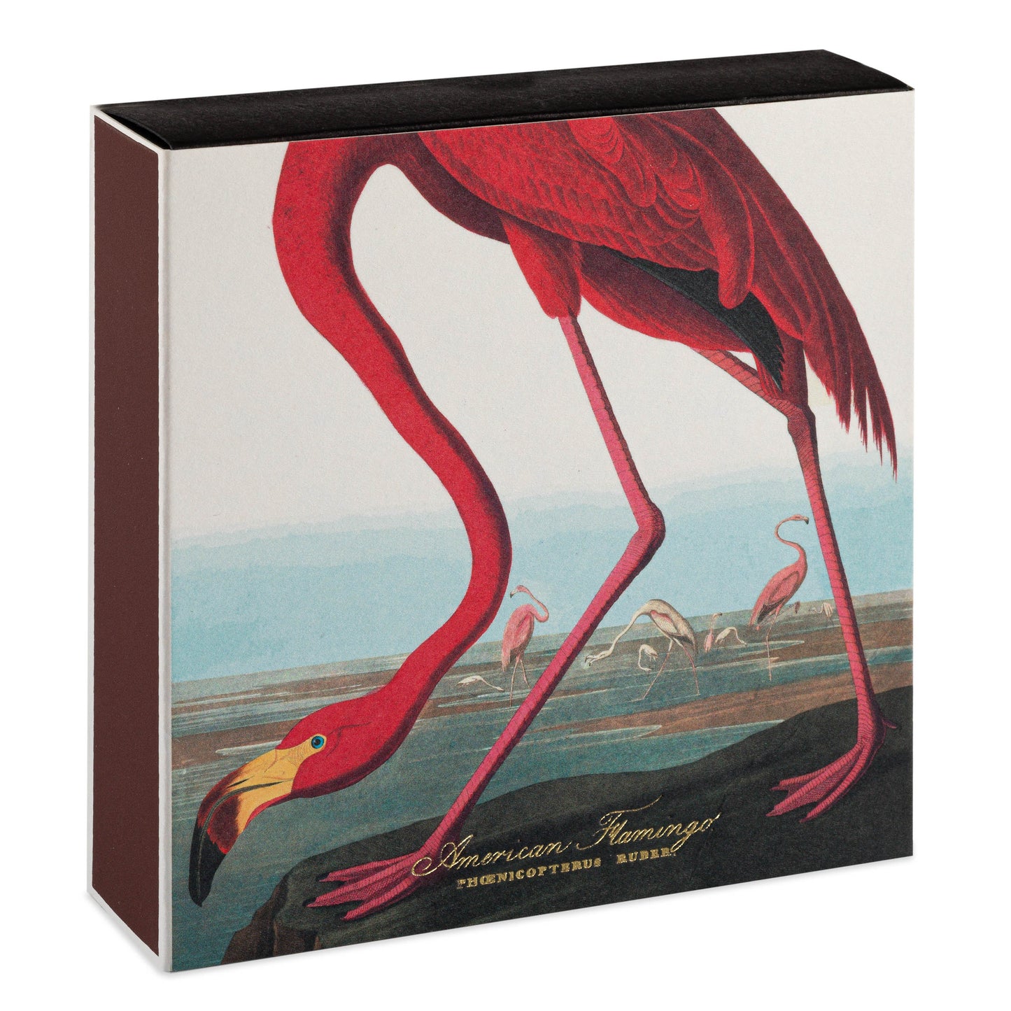 The American Flamingo - Boîte d'allumettes - Archivist Gallery