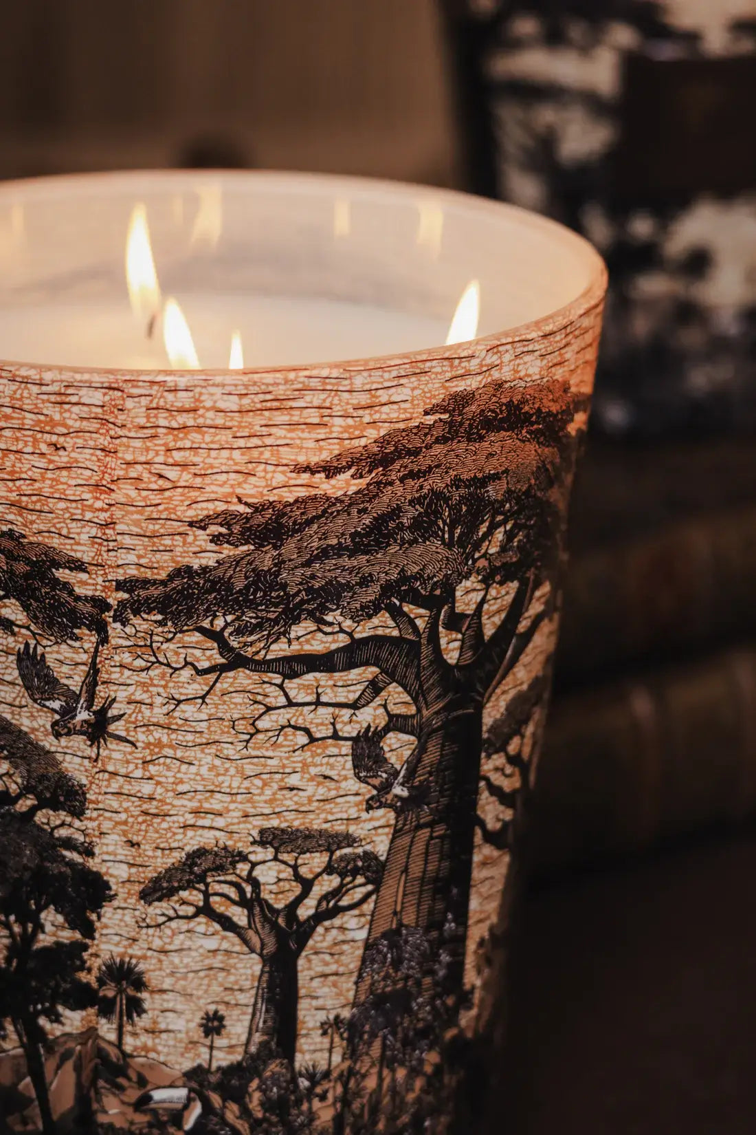 Bougie parfumée Baobab Mankono allumée, décor de baobabs par sublimation