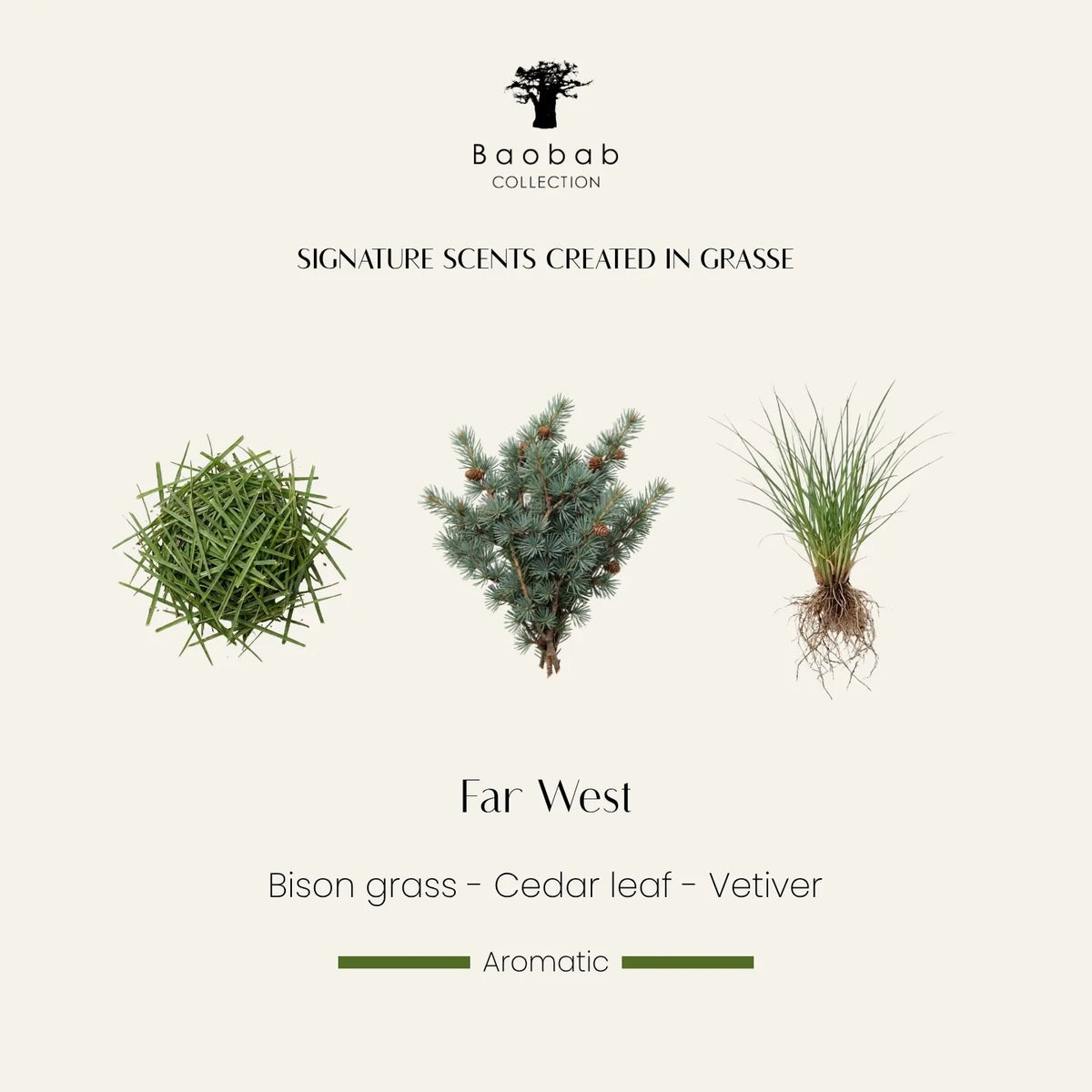 Bougie Far West Baobab Collection et ses notes parfumées d’herbe de bison, de feuille de cèdre et de vétiver