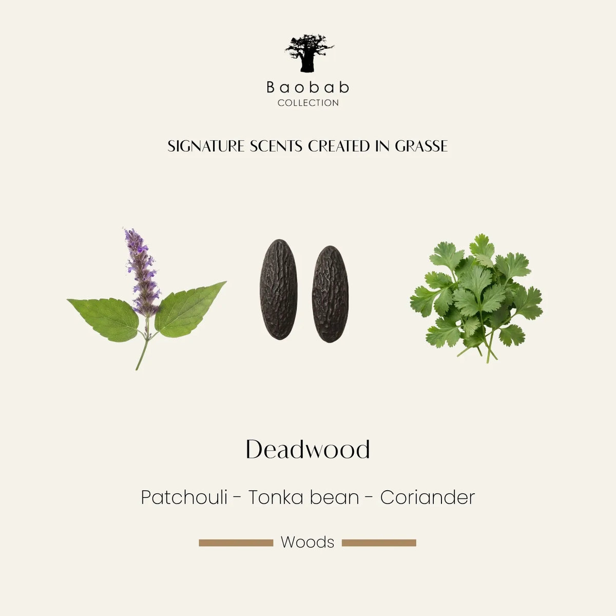 Bougie Deadwood Baobab Collection, vase habillé de cuir brun tabac à franges