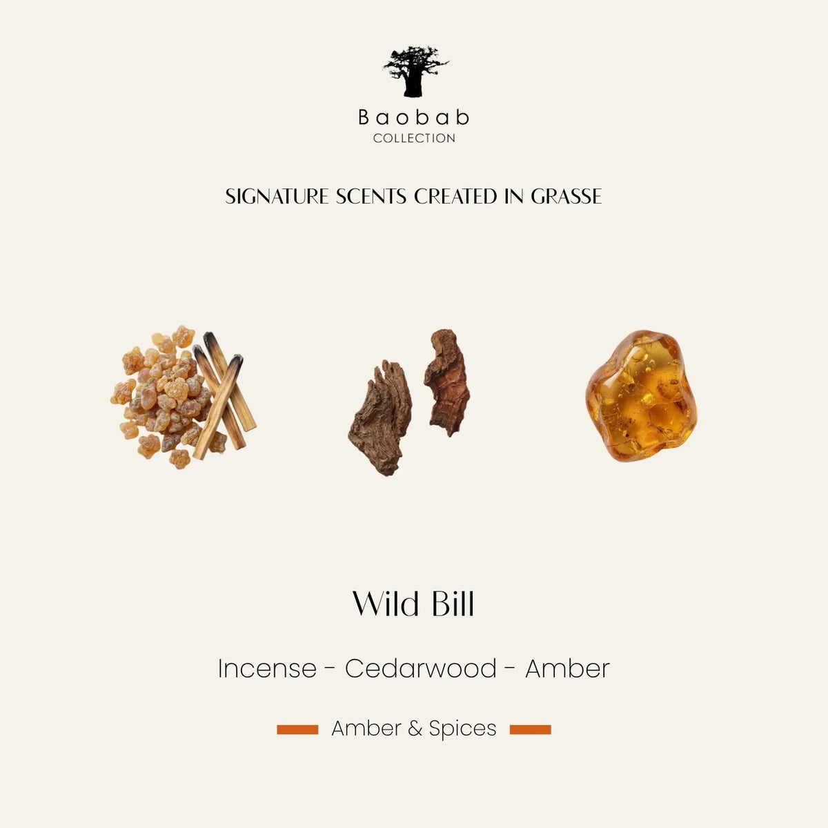 Bougie parfumée Wild Bill Baobab Collection, vase habillé de cuir cognac à franges