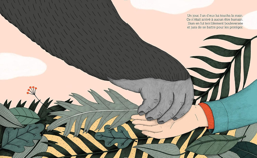 Dian Fossey - Livre collection petite et grande - Kimane