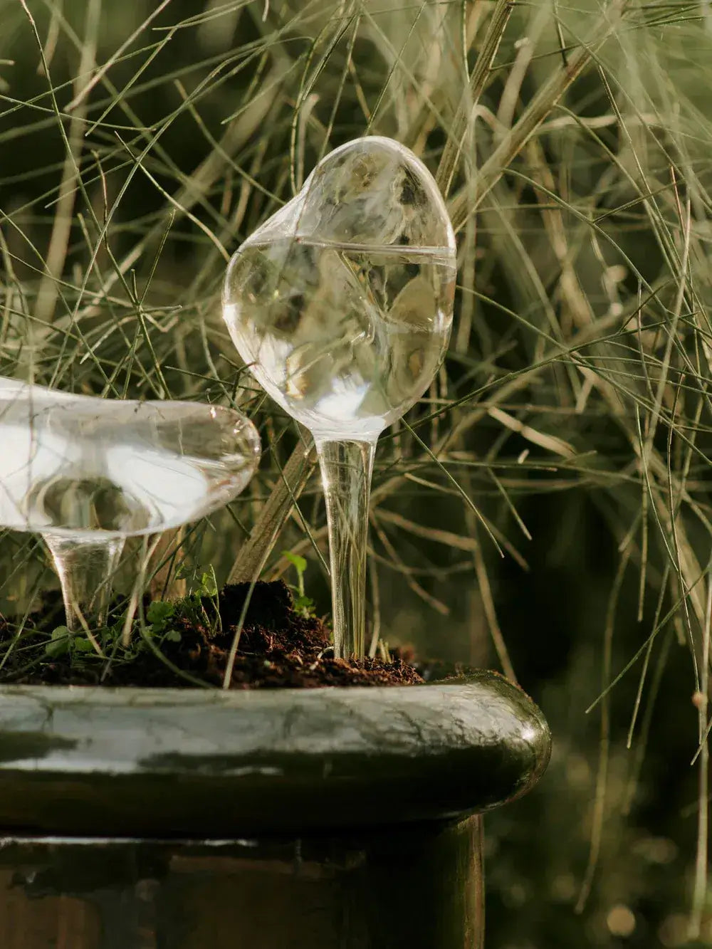 Utilisation des Globes d'Arrosage Ferm Living dans un pot de fleurs