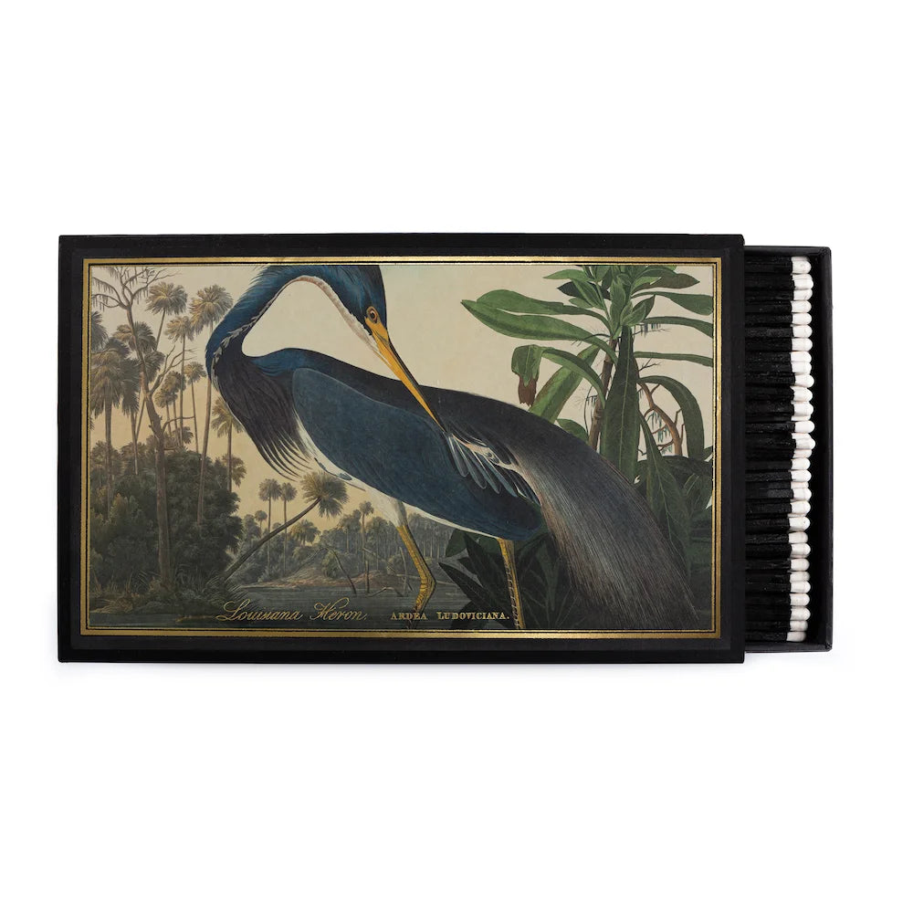 Louisiana Heron - Géante Boîte d'allumettes - Archivist Gallery
