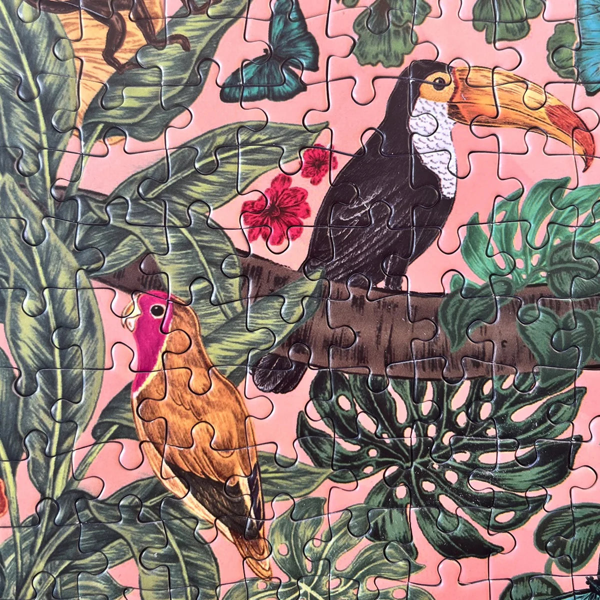 Soleil - Puzzle 1000 pièces - Gibsons