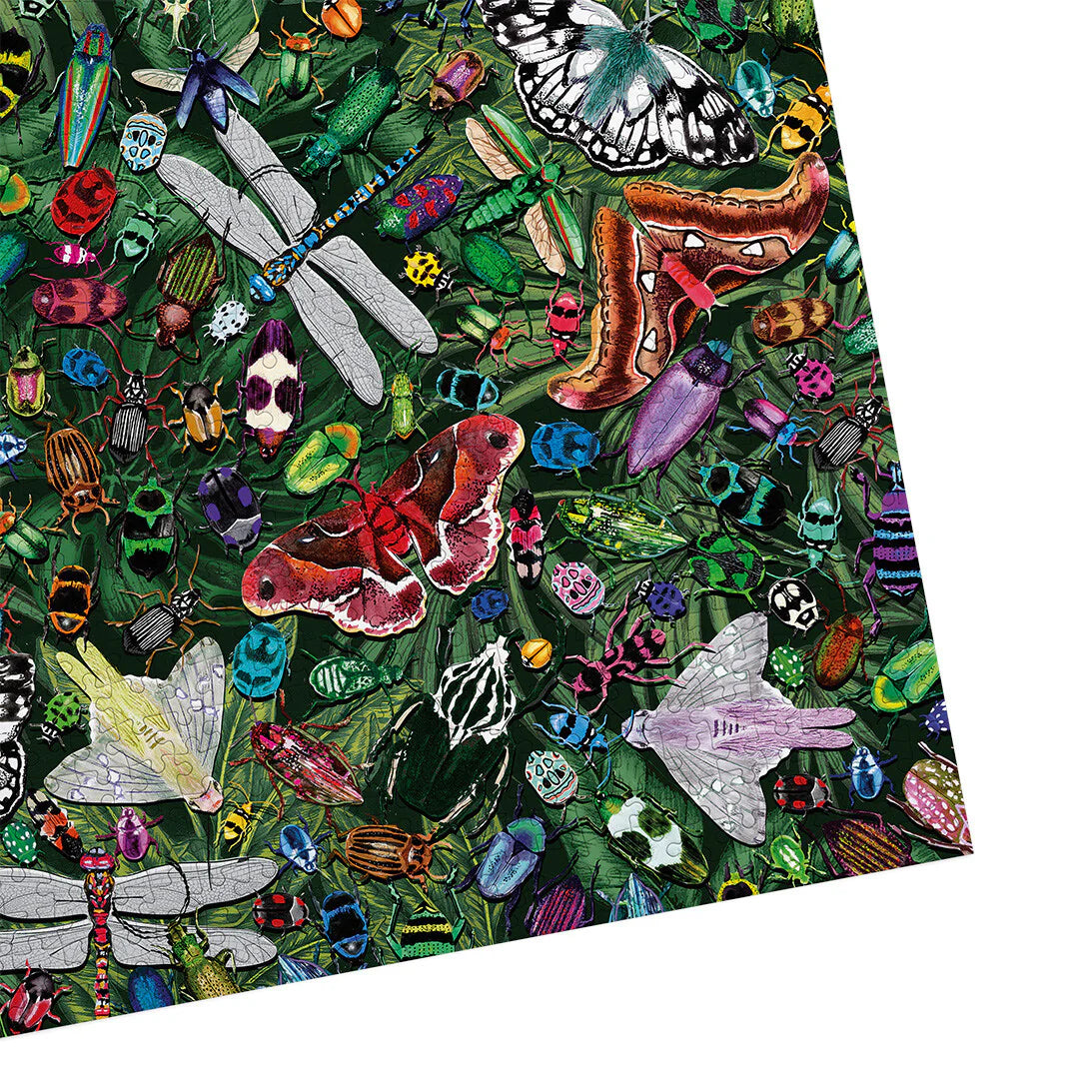 Winged Wonders - Puzzle 1000 pièces - Gibsons