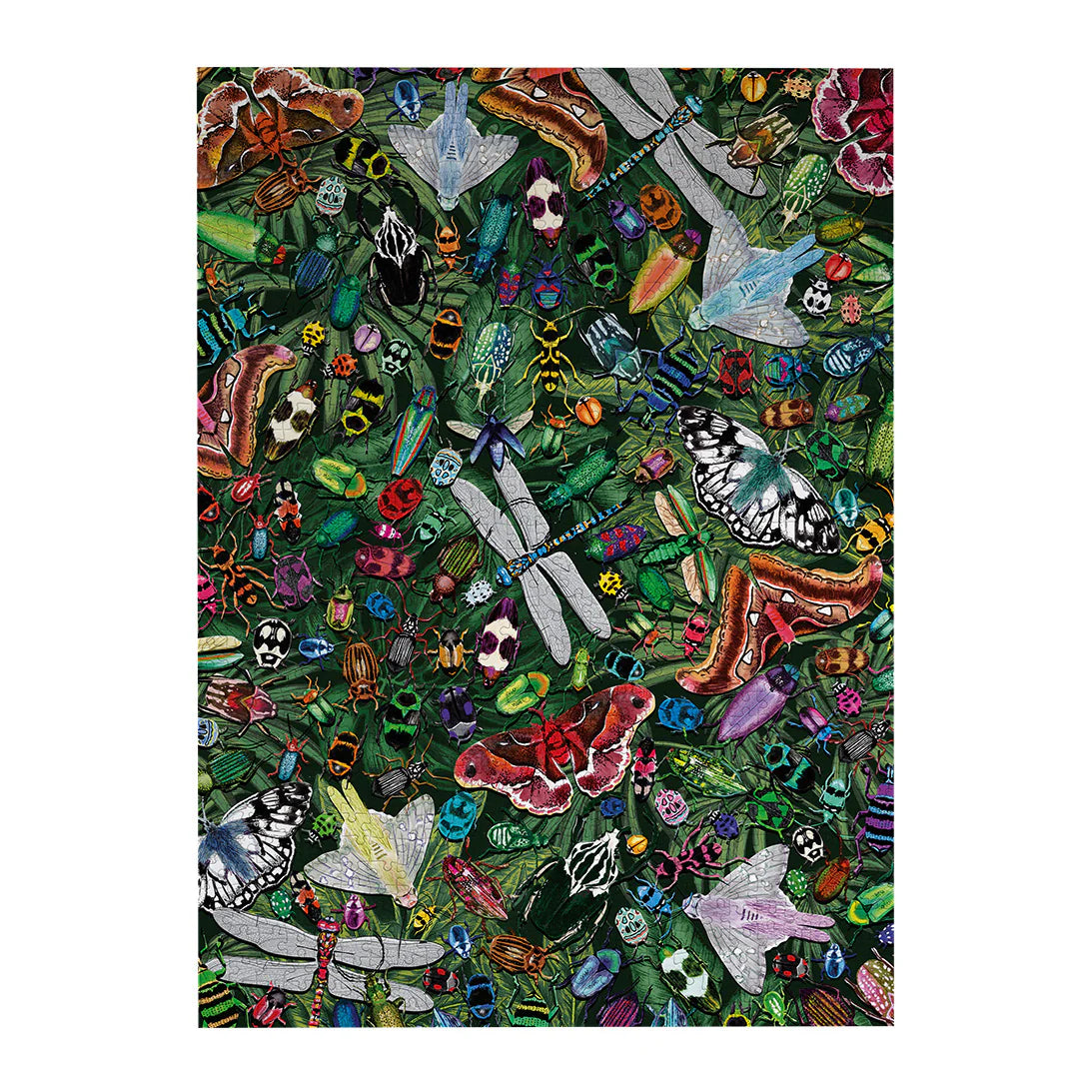 Winged Wonders - Puzzle 1000 pièces - Gibsons