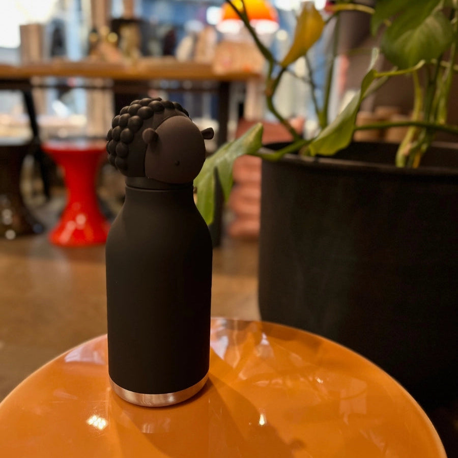 Gourde mouton noir sur une petite table orange - Collection Asobu - Gourde Isotherme