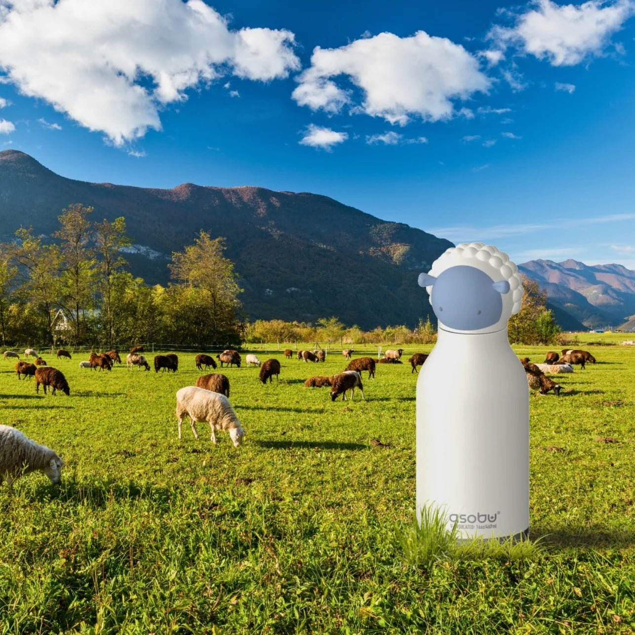 Gourde Brie Isotherme - Collection Bestie Mouton - Asobu