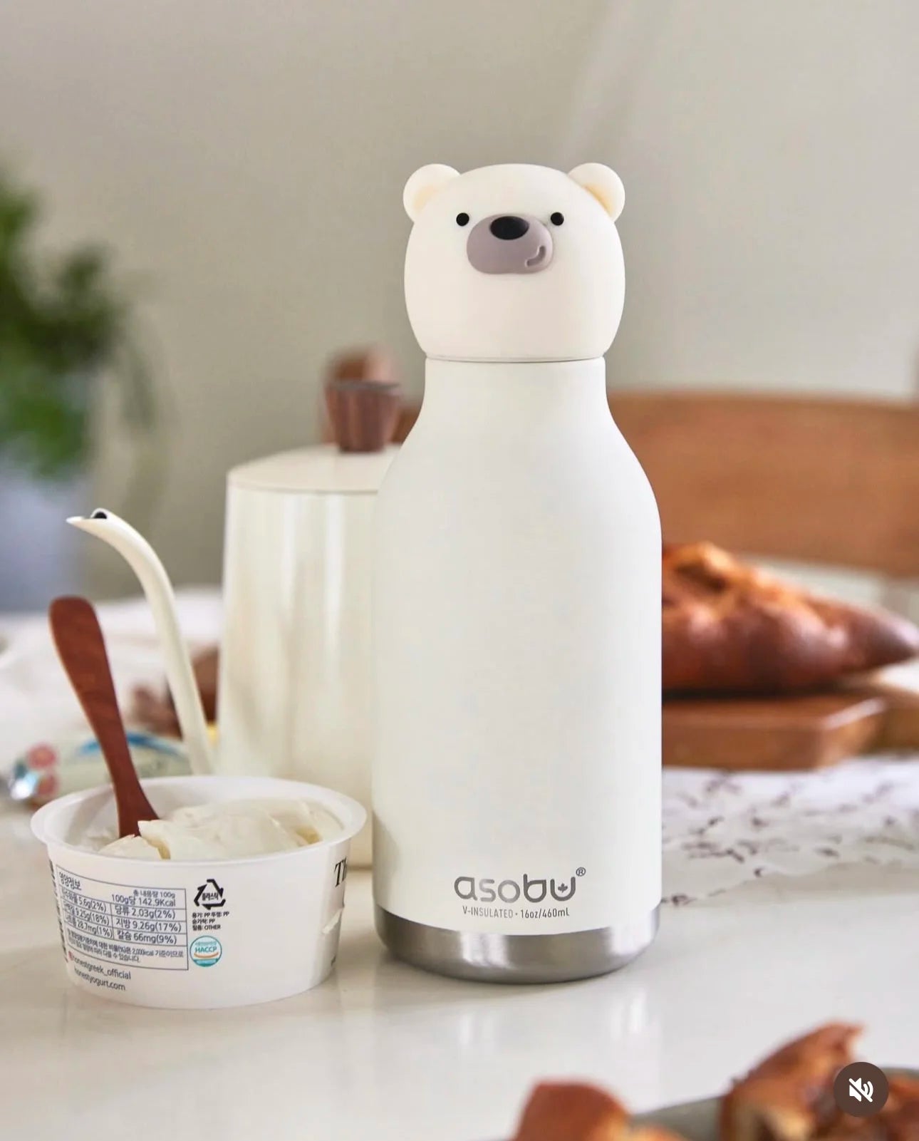 Gourde Chillignton Isotherme - Collection Bestie Ours - Asobu