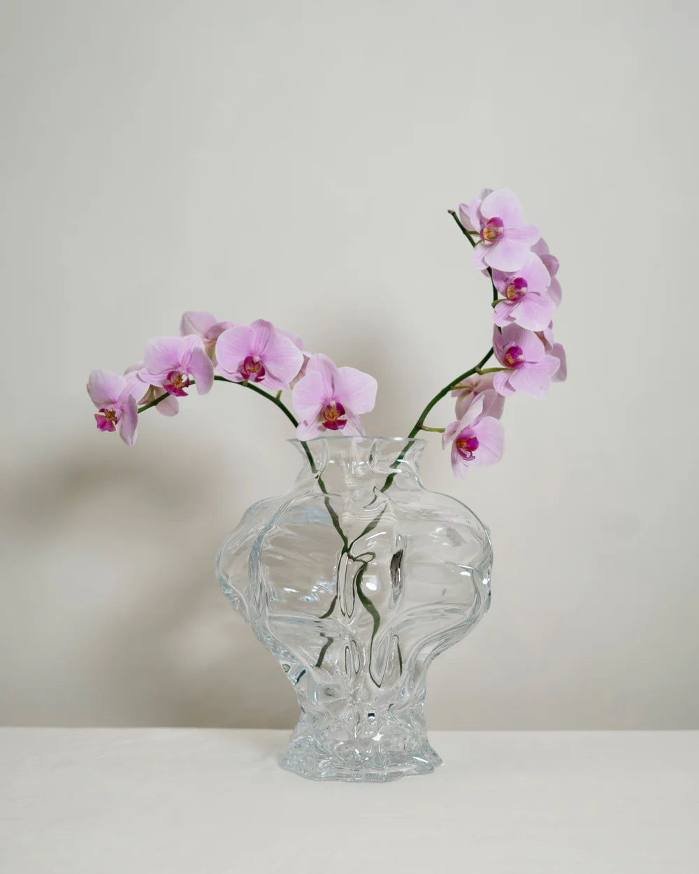 Ammonit - Vase transparent - Hein Studio