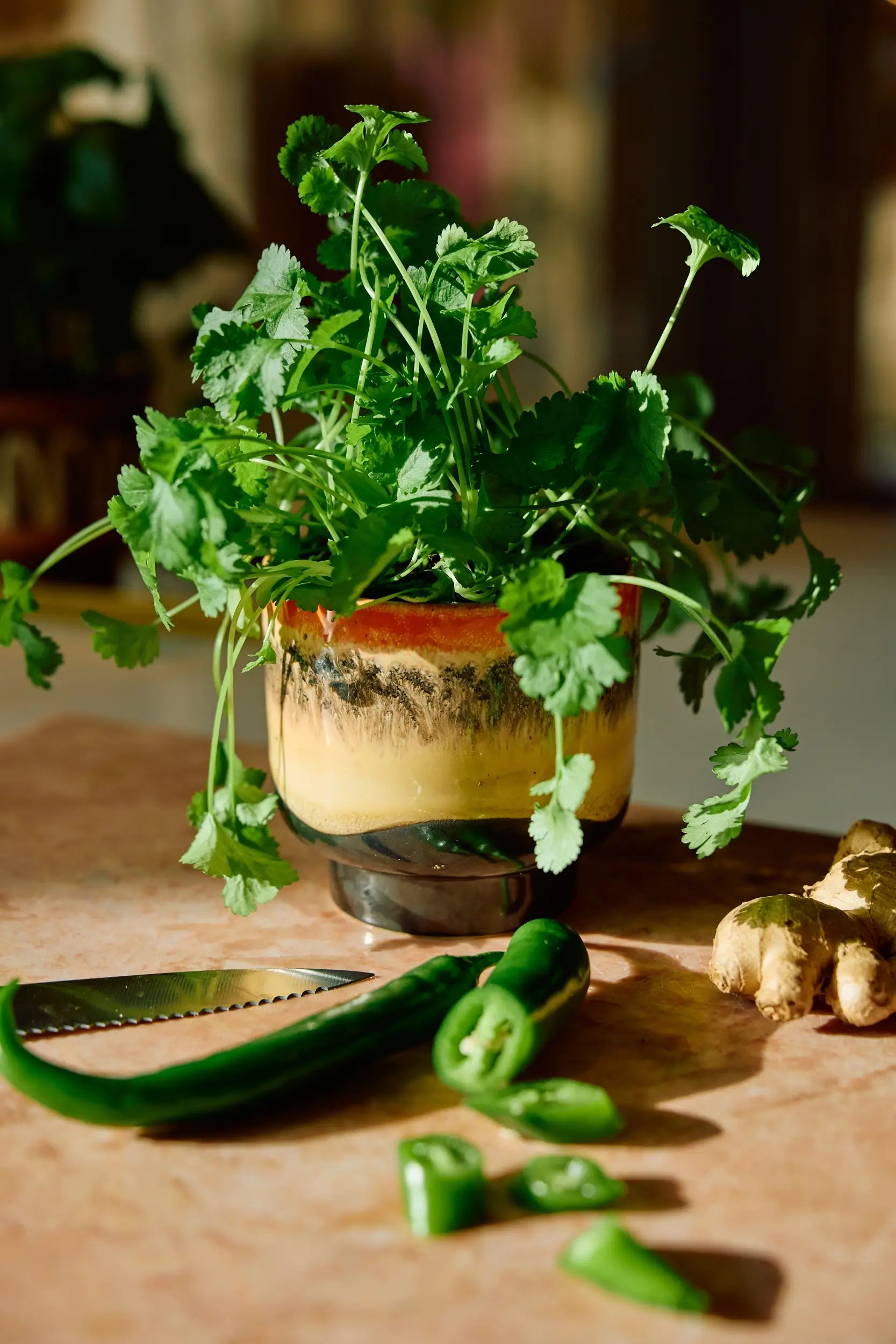 Bougie parfumée Tulum reconvertie en pot à aromates après son utilisation