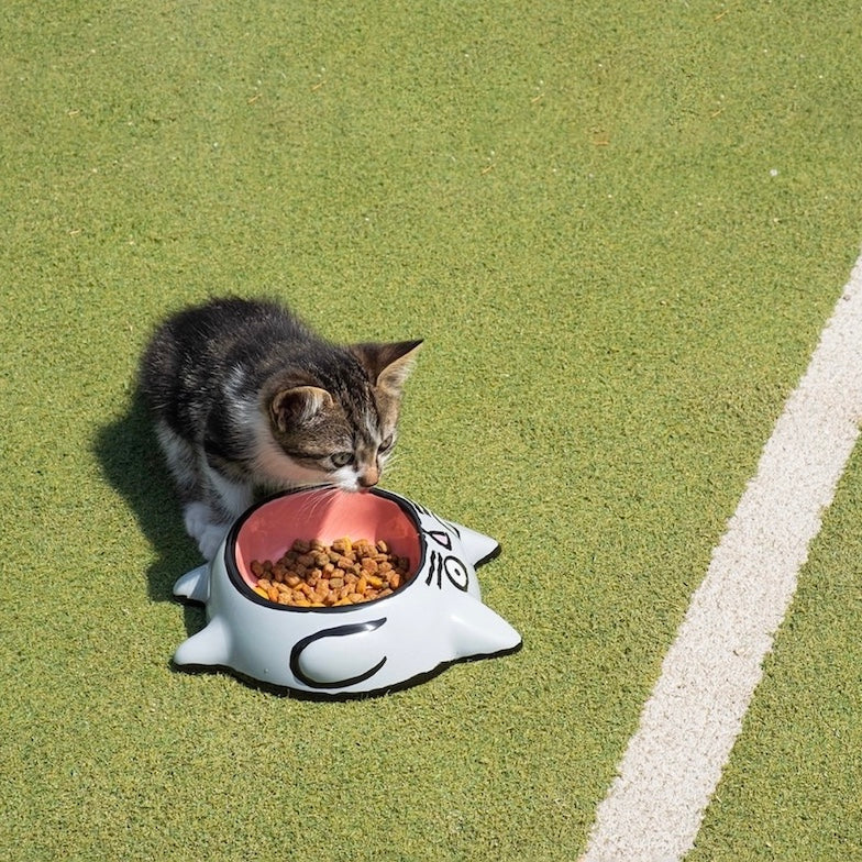 Gamelle Grise et Rose Cat Bowl en céramique - Home Studyo