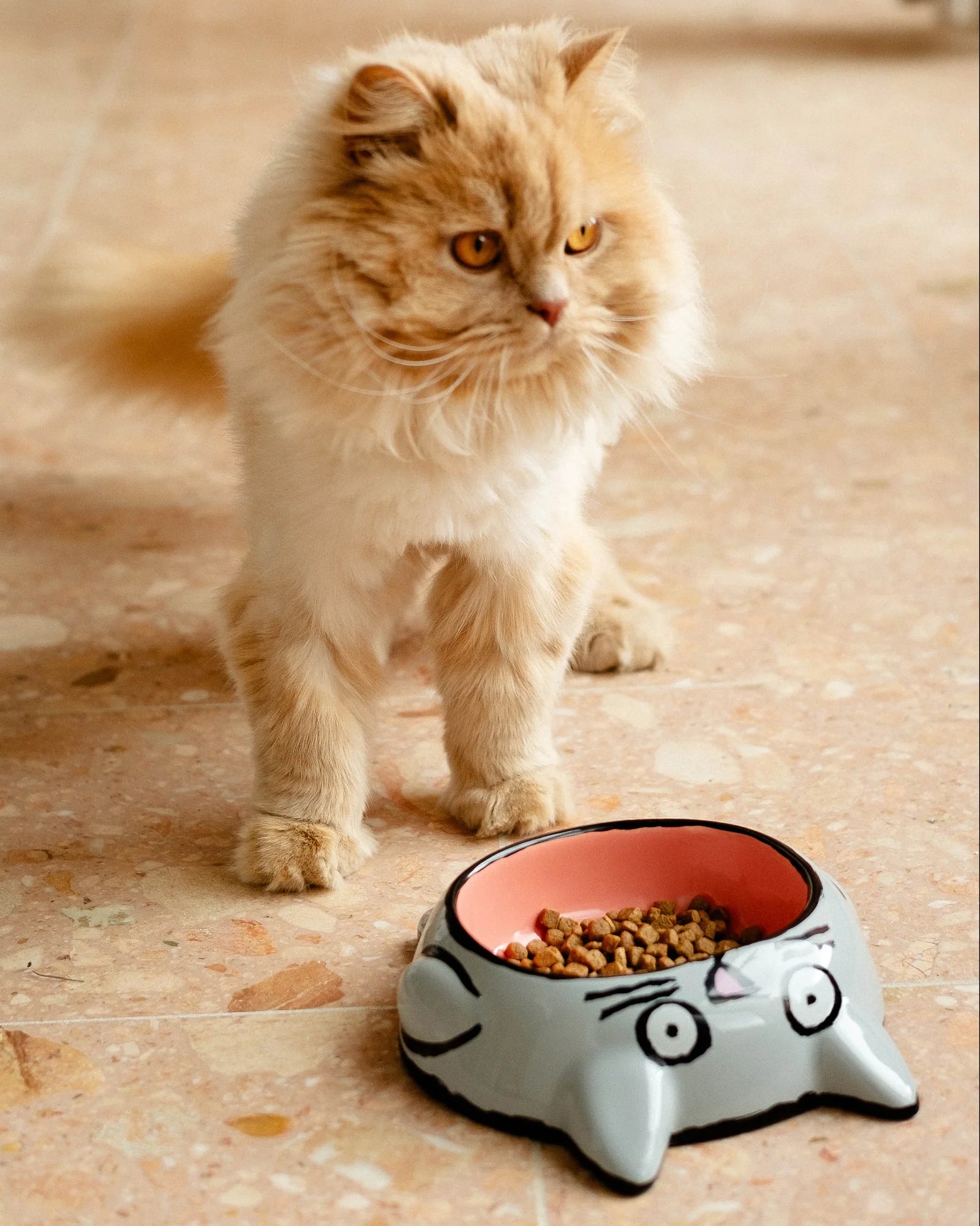 Gamelle Grise et Rose Cat Bowl en céramique - Home Studyo