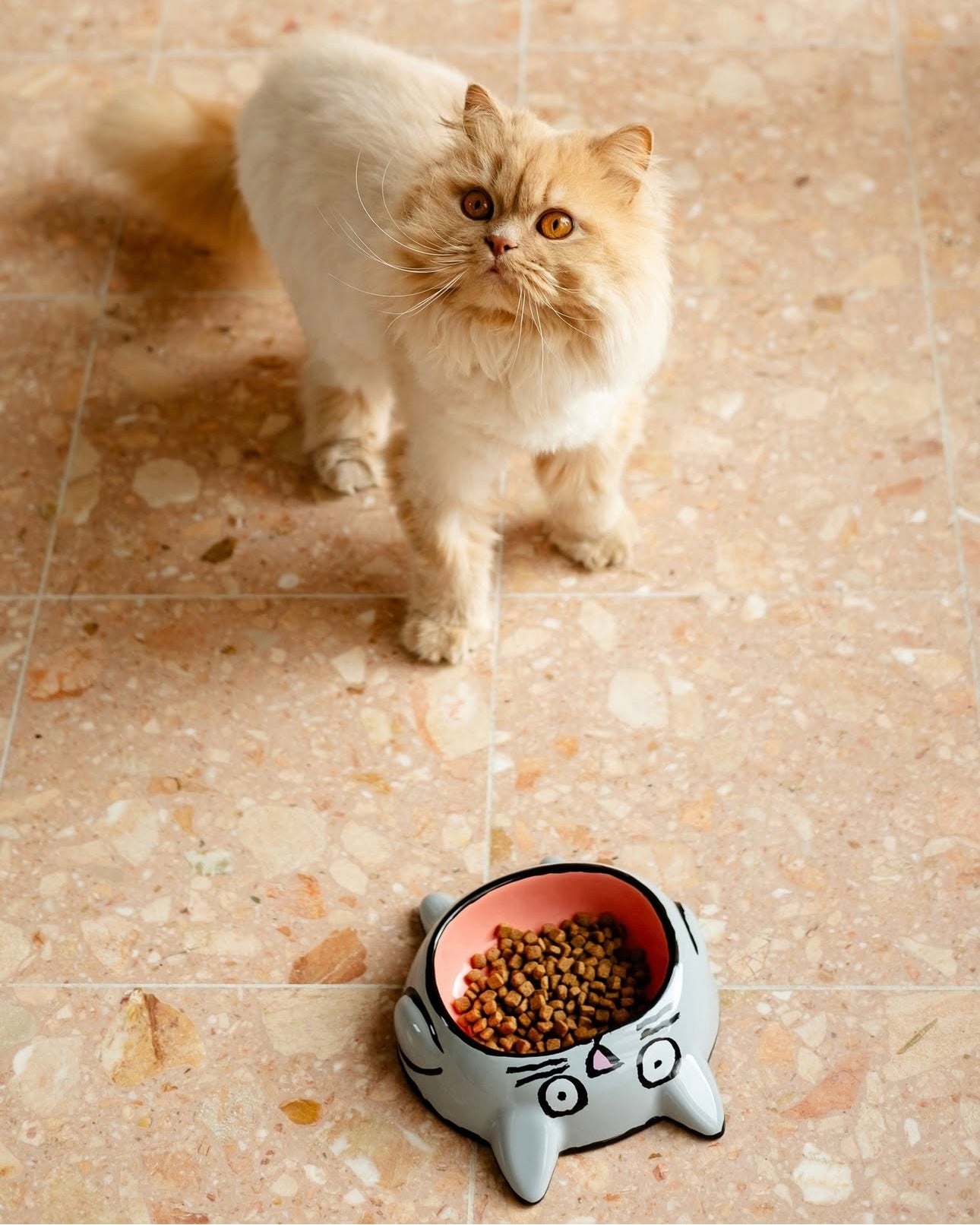 Gamelle Grise et Rose Cat Bowl en céramique - Home Studyo