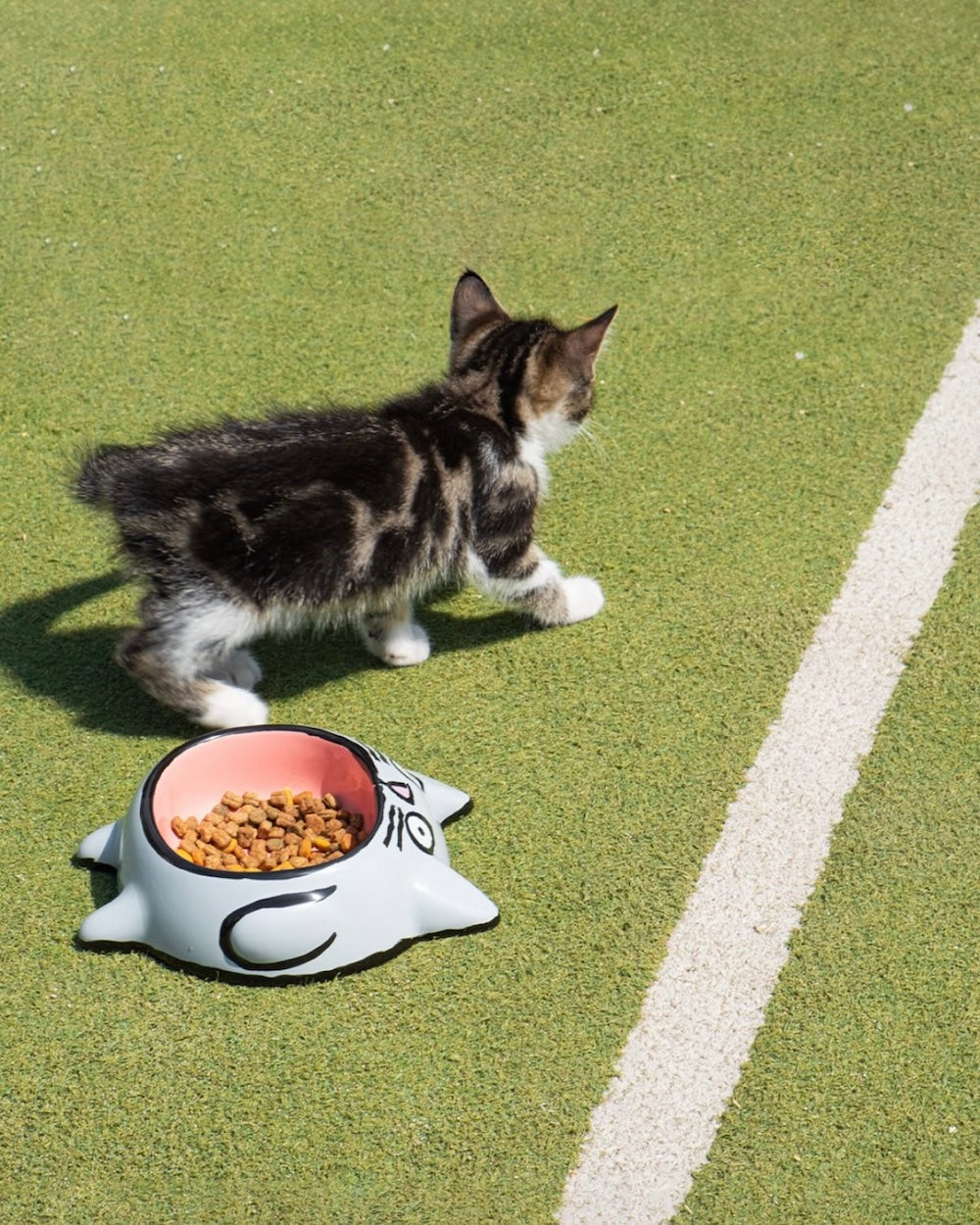 Gamelle Grise et Rose Cat Bowl en céramique - Home Studyo