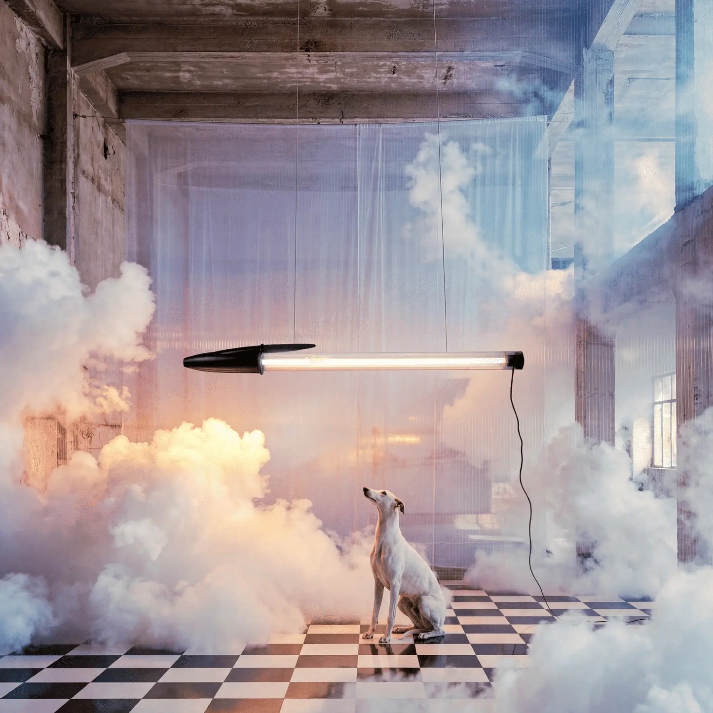 lampe bic seletti noire mise en scene artistique avec chien et fumee